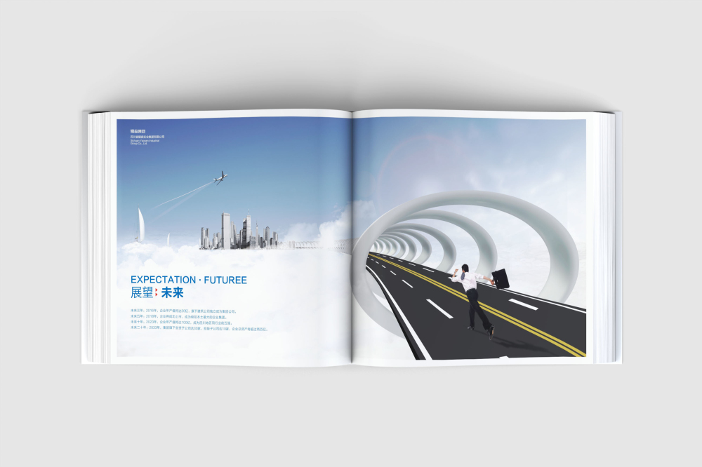 共青城市画册设计
